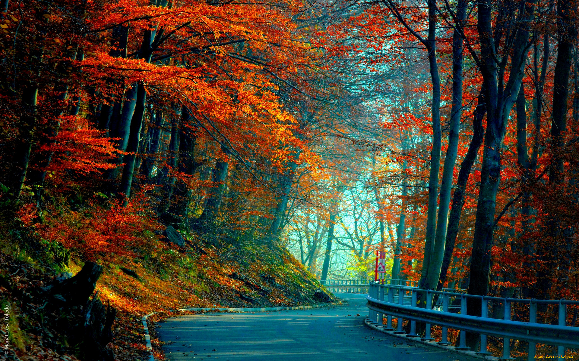autumn, road, , , , , , 